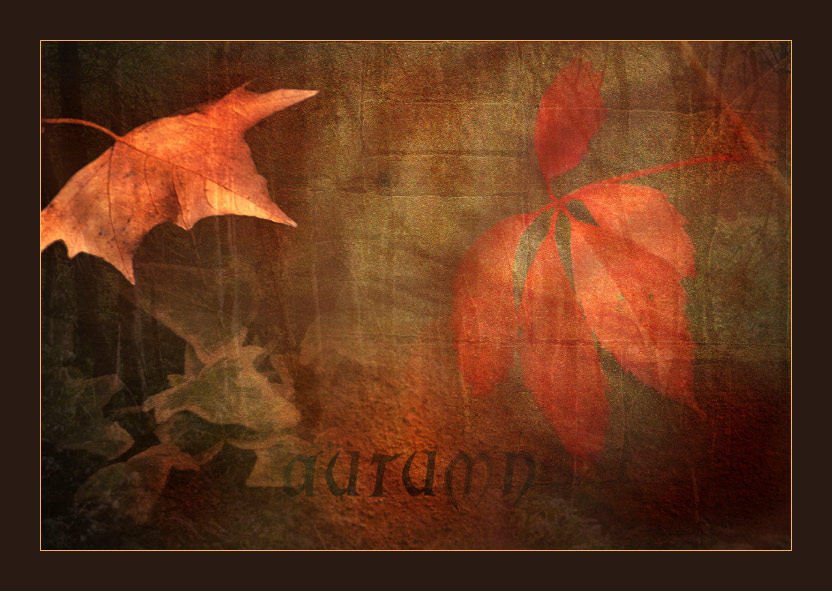 *** autumn ***