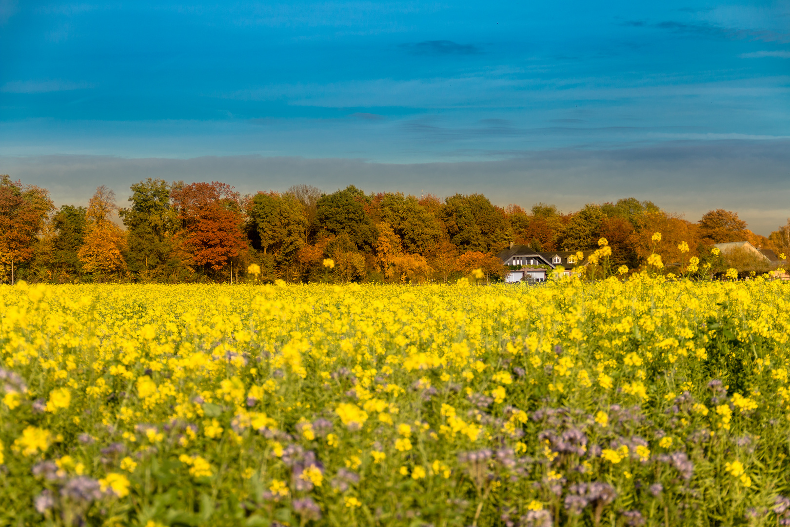 Autumn