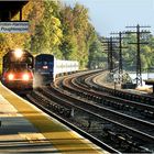 Autumn Afternoon at Ardsley No. 1 - A Metro North Moment