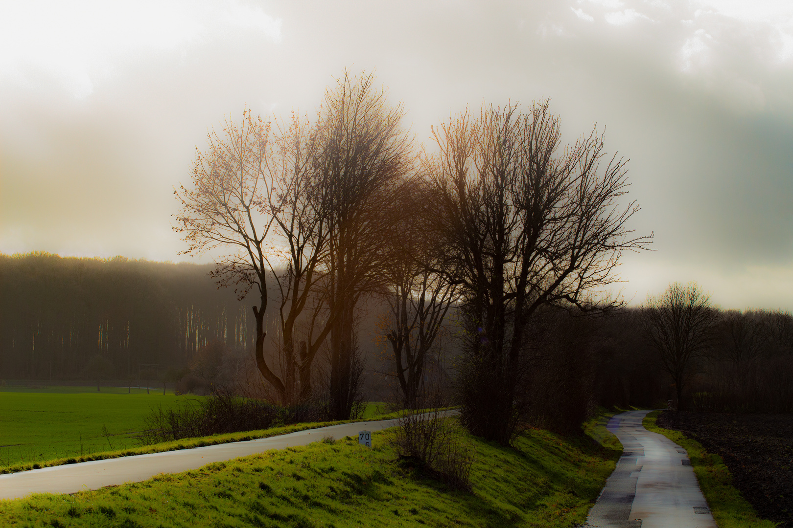 Autumn Afternoon