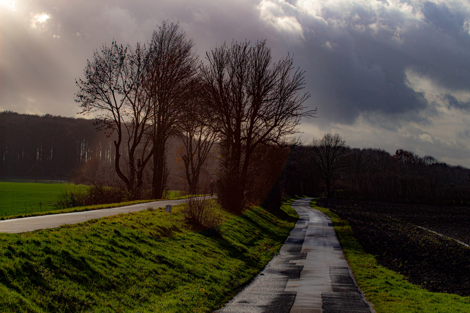 Autumn Afternoon