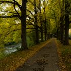 Autumn Alley