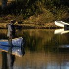 Autumn Angler