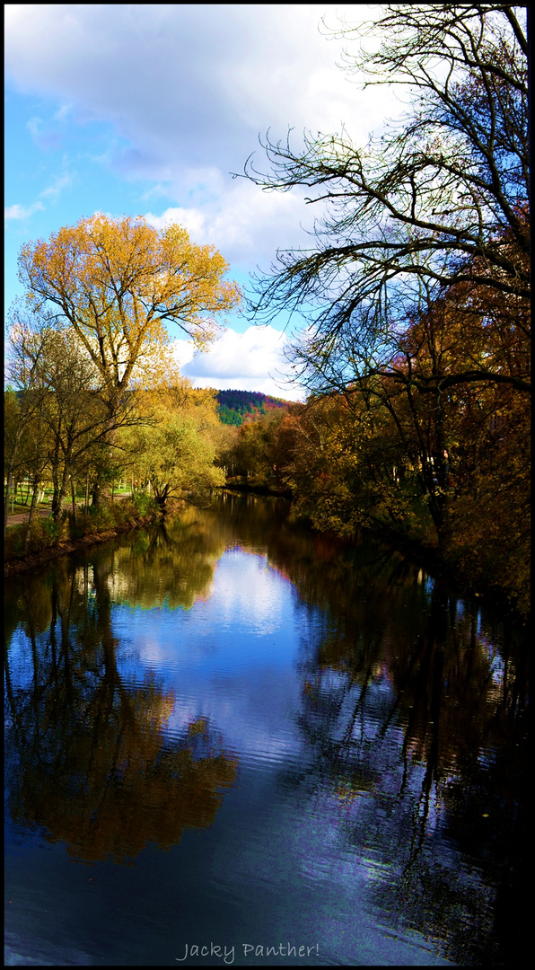 Autumn around the Stream