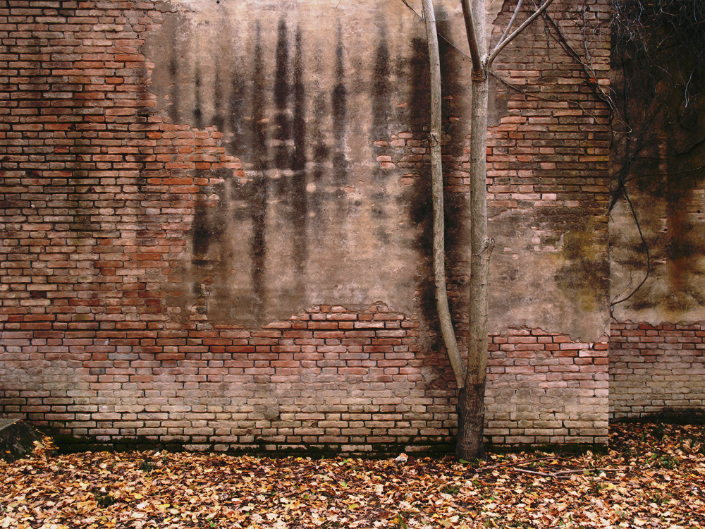 Autumn around the wall