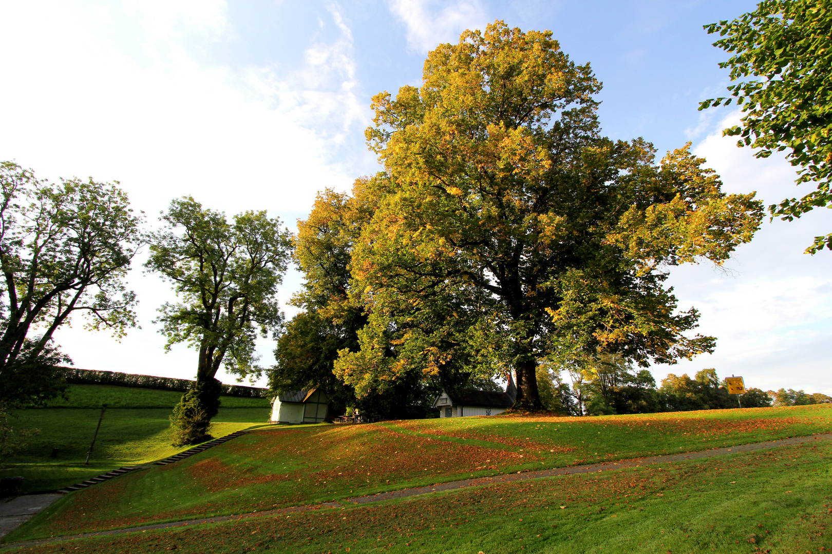 Autumn arrives...