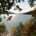 Autumn at Arrow Lake