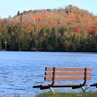 Autumn at Cathedral of The Pines, Lutsen, Minnesota