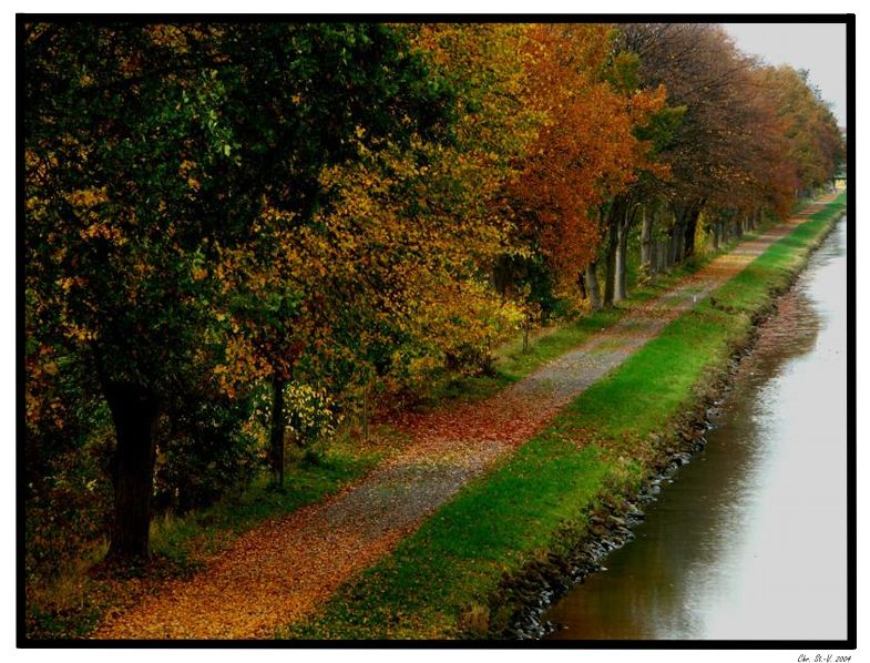 Autumn at Dortmund-Ems Channel