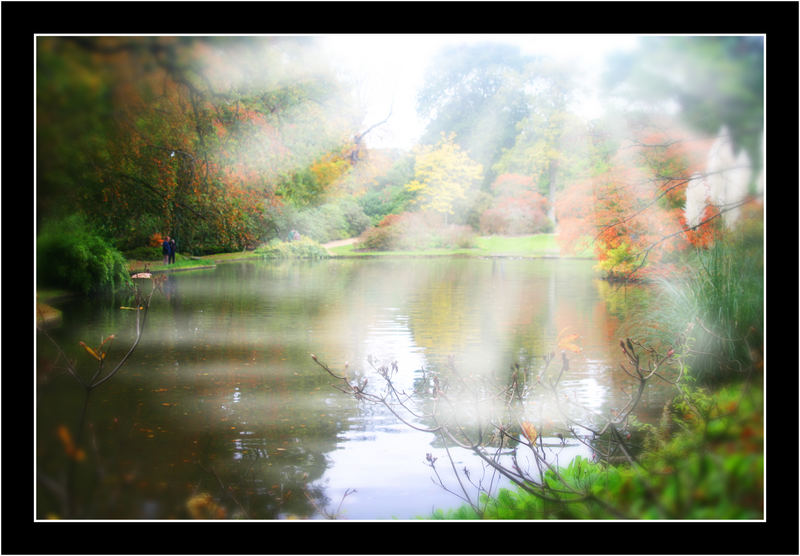 Autumn at Exbury Gardens