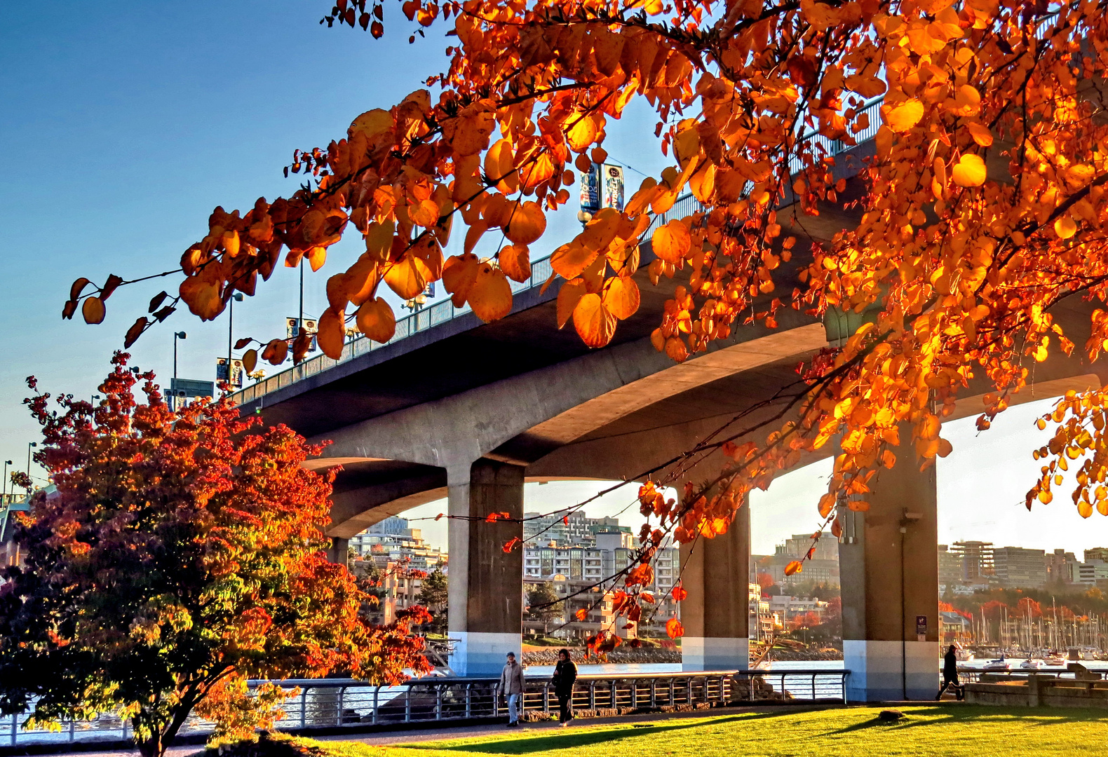  Autumn at False Creek