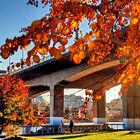  Autumn at False Creek