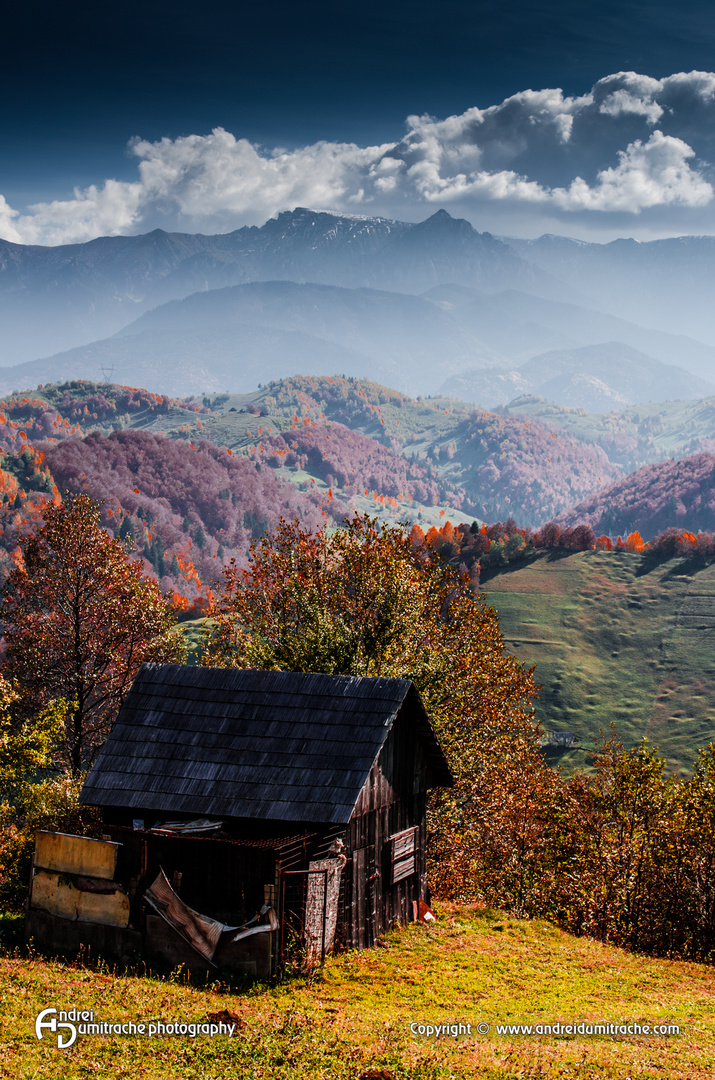 Autumn at Fundata, Romania