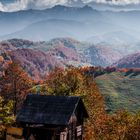 Autumn at Fundata, Romania