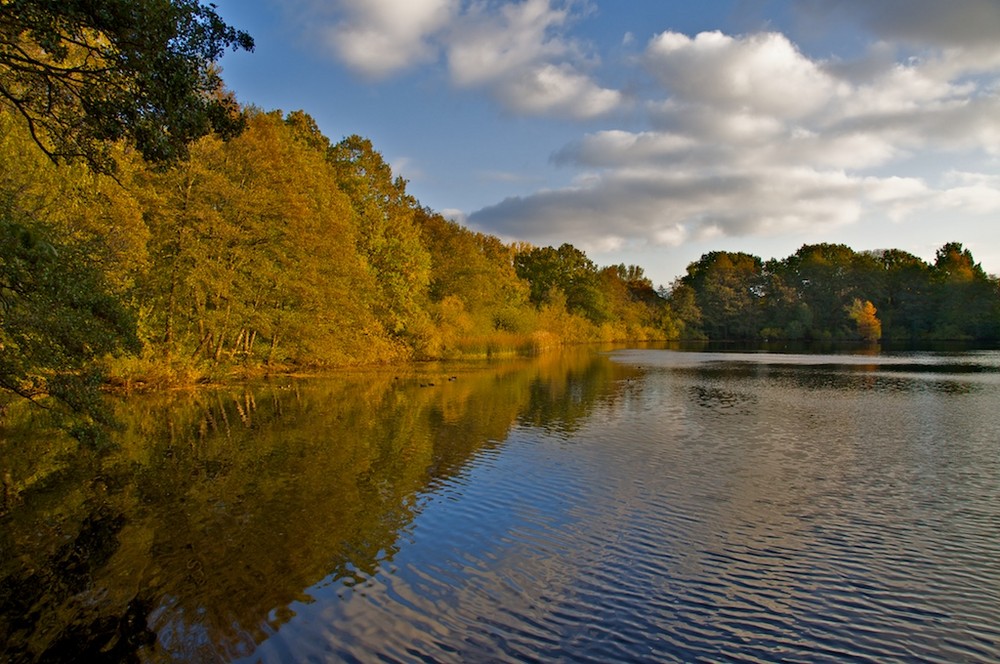 Autumn at lake