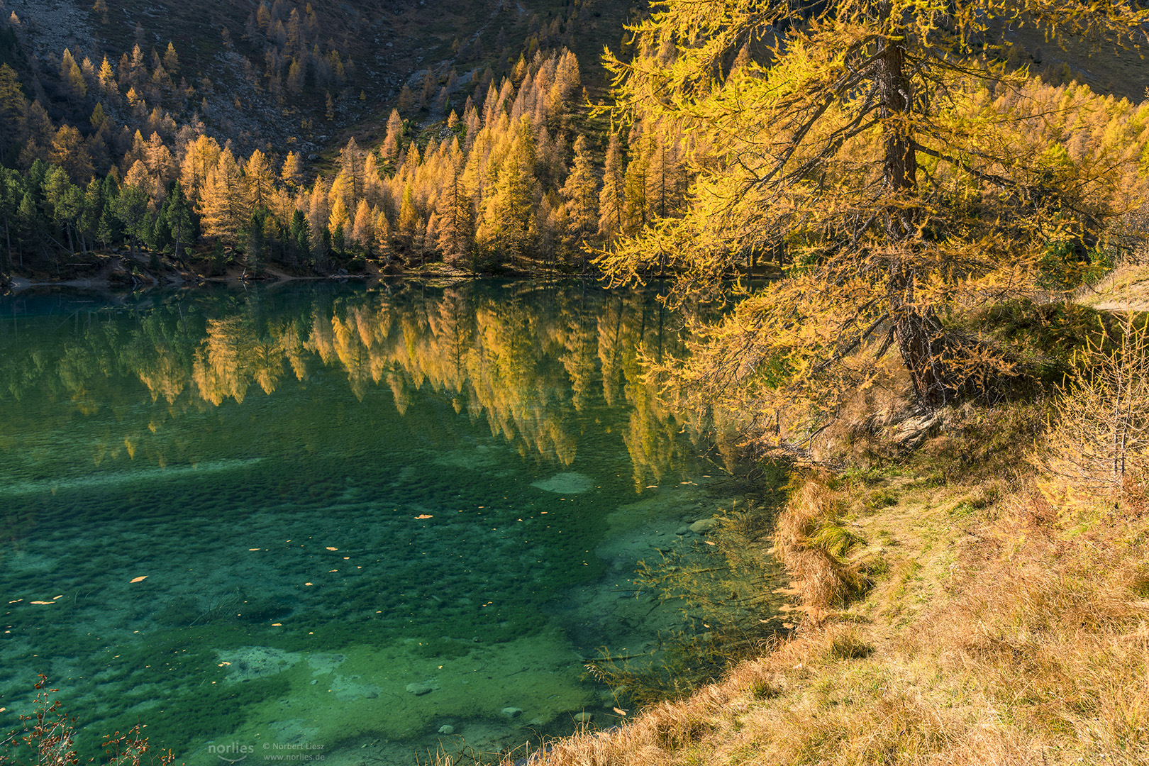 Autumn at Palpugna lake