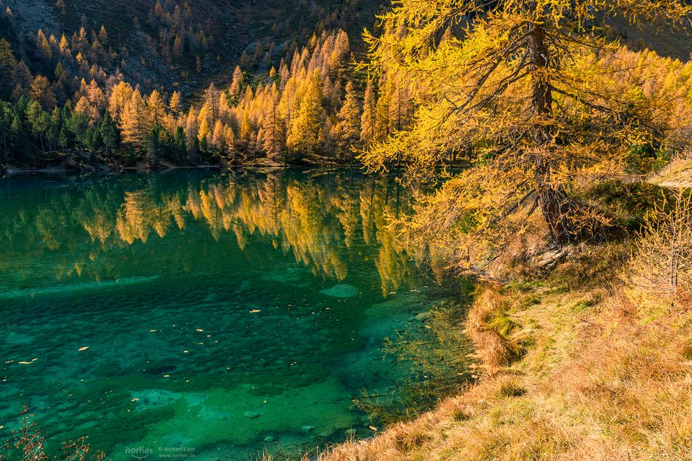 Autumn at Palpugna lake