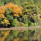 Autumn at Ryoangji Temple