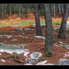 autumn at seaside