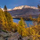 Autumn at Silsersee