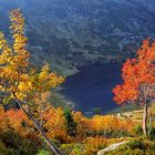 Autumn at the glacial lake