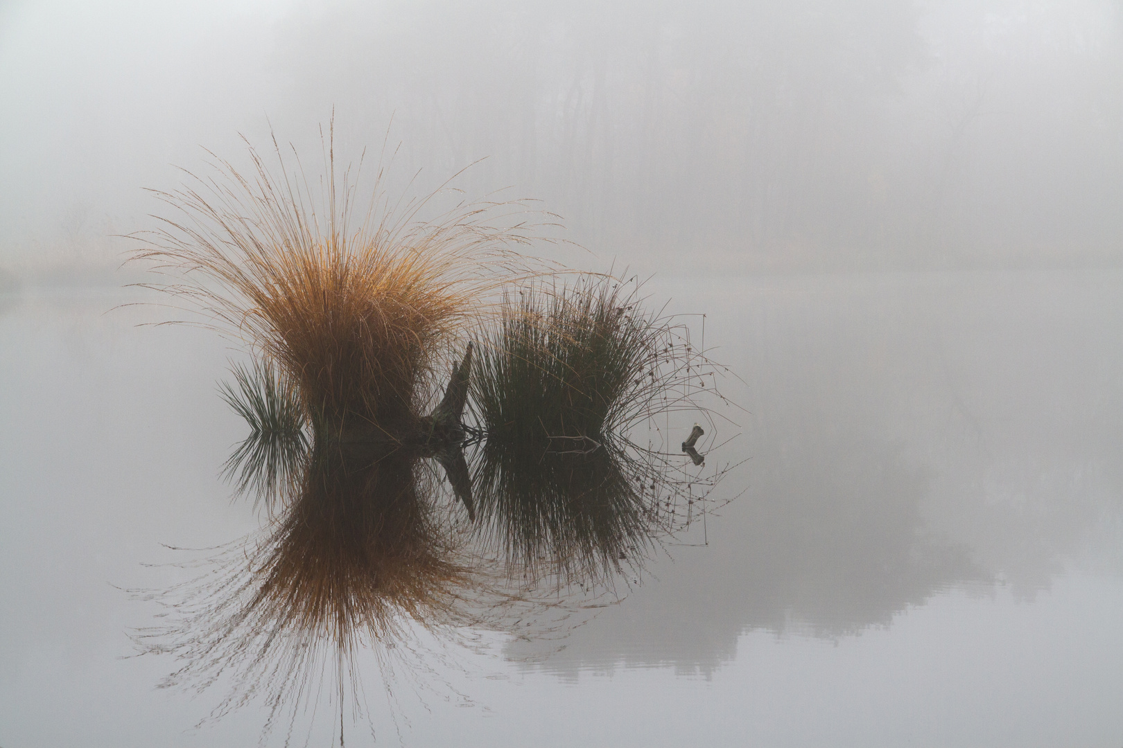 Autumn at the Haterse Vennen (2)