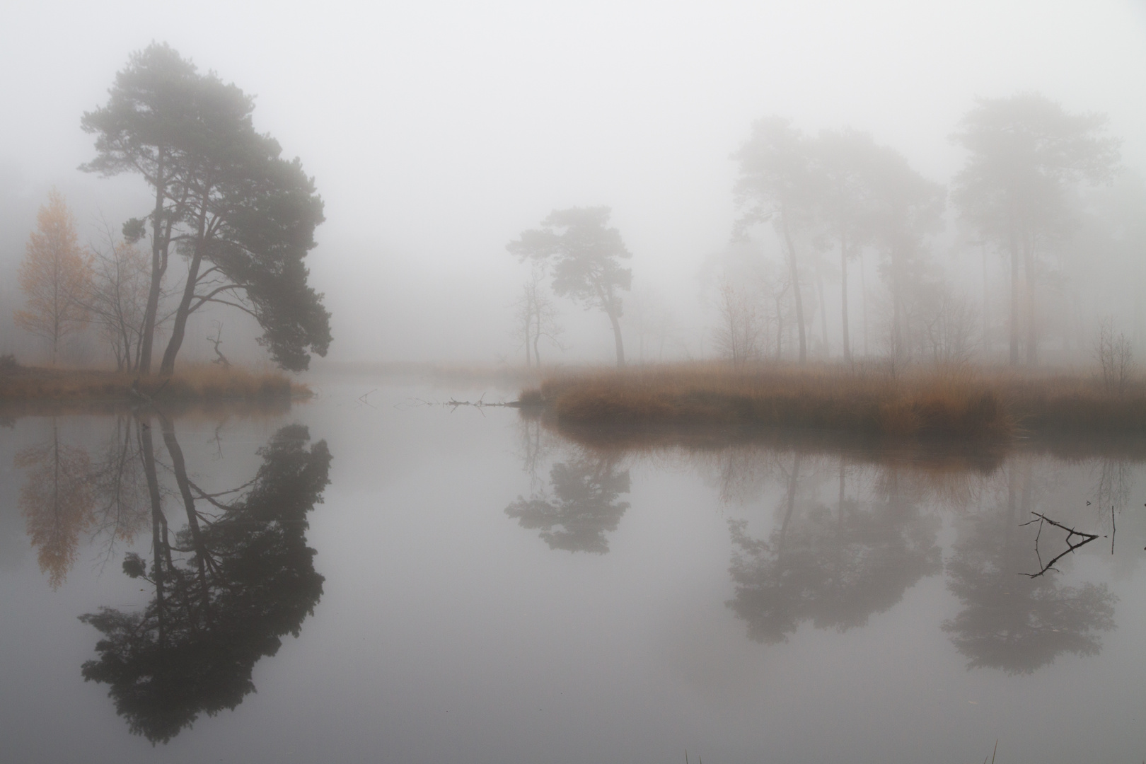 Autumn at the Haterse Vennen