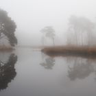 Autumn at the Haterse Vennen