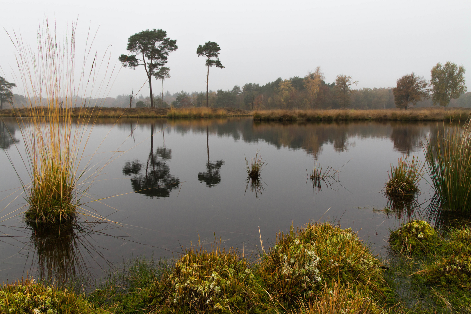 Autumn at the Haterse Vennen