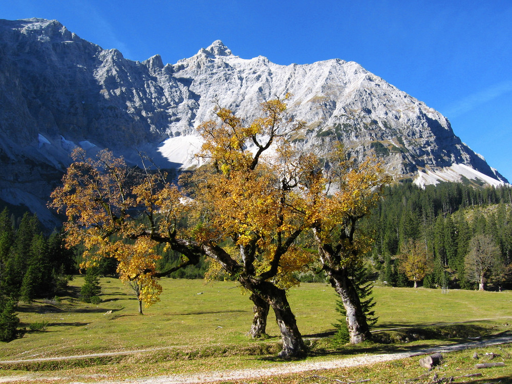 autumn at the "horny" ground