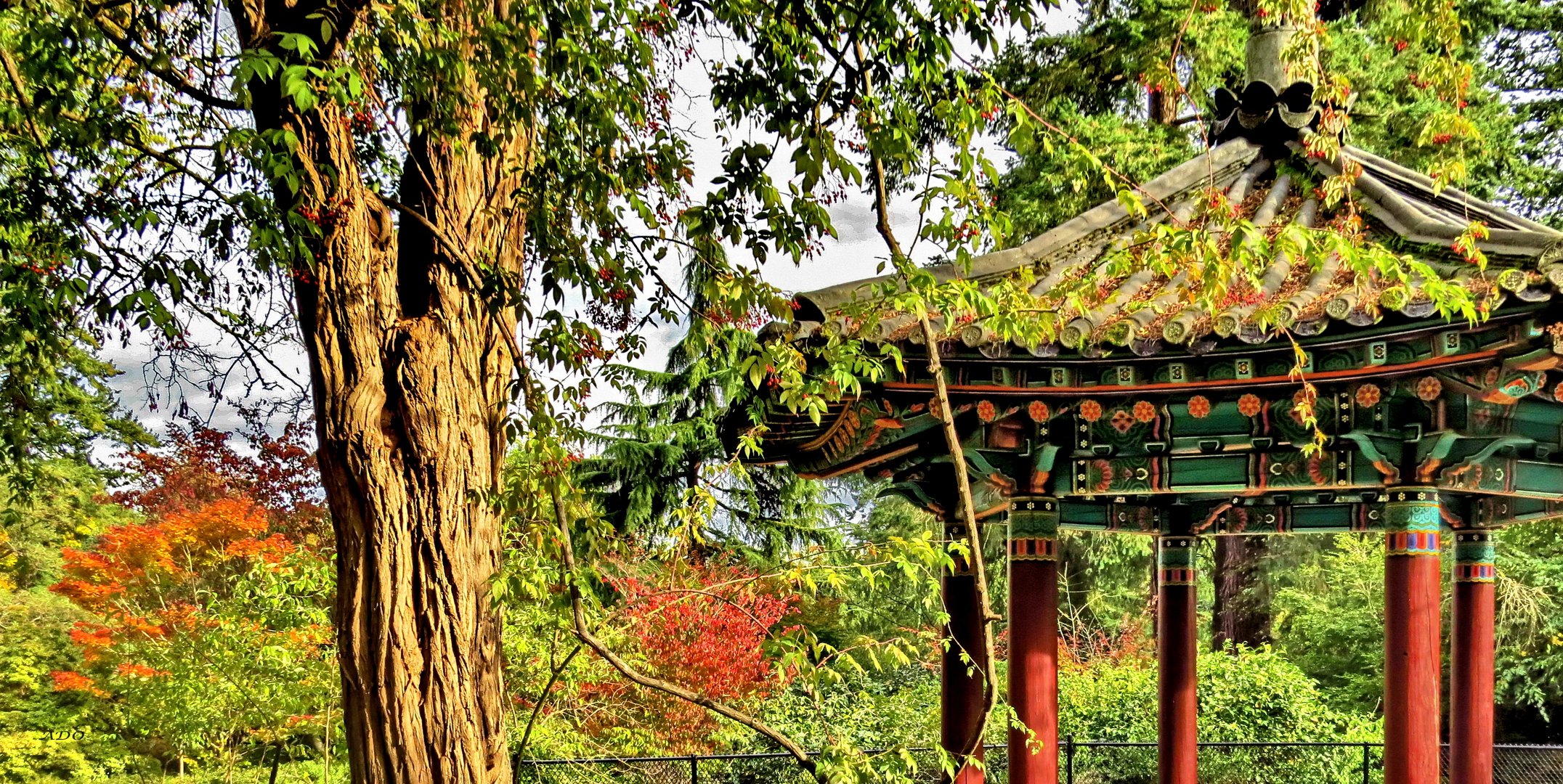 Autumn at the Korean Pavillion