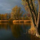 Autumn at the lake (1)