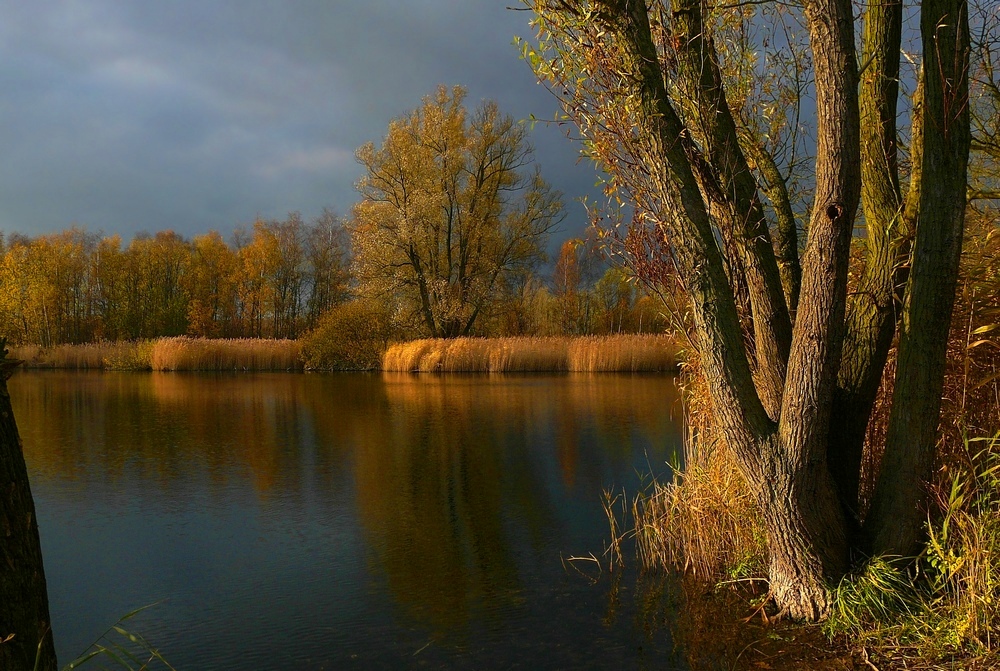 Autumn at the lake (1)