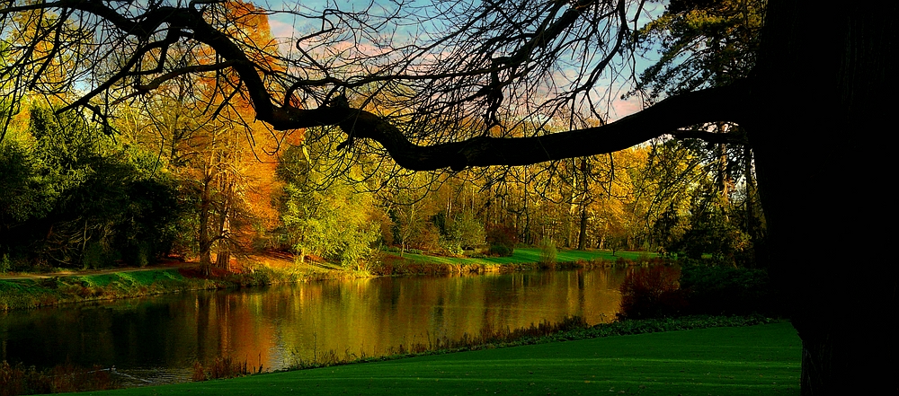 Autumn at the lake (11)