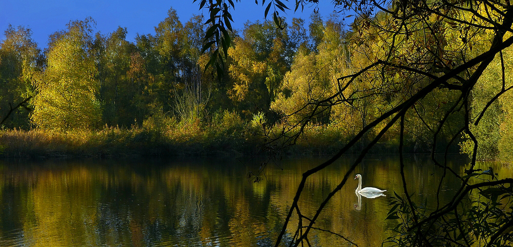 Autumn at the lake (12)