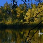 Autumn at the lake (12)