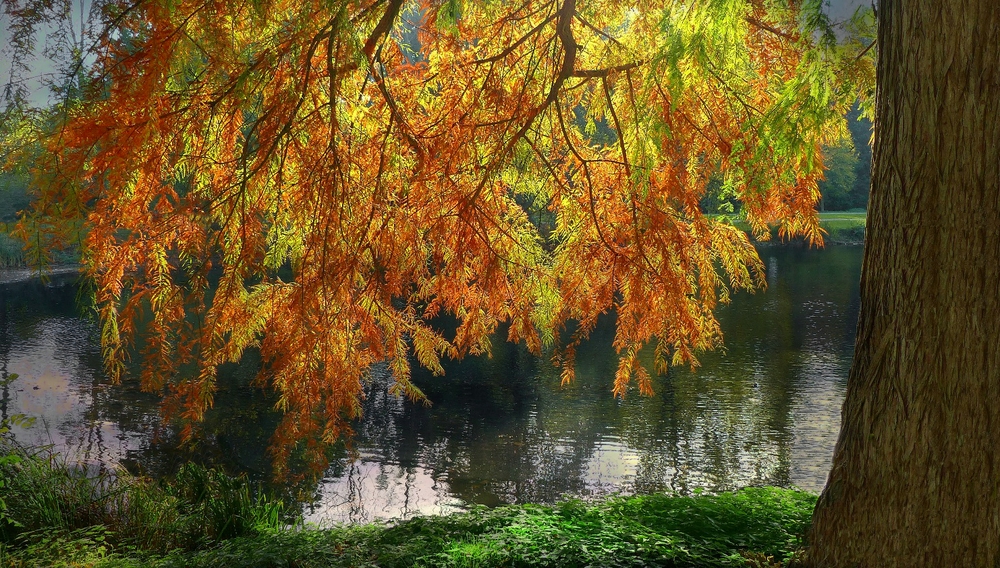 Autumn at the lake (13)