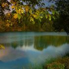 Autumn at the lake (15)