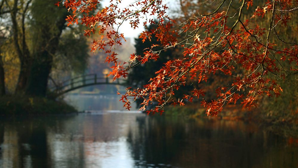 Autumn at the lake (17) 