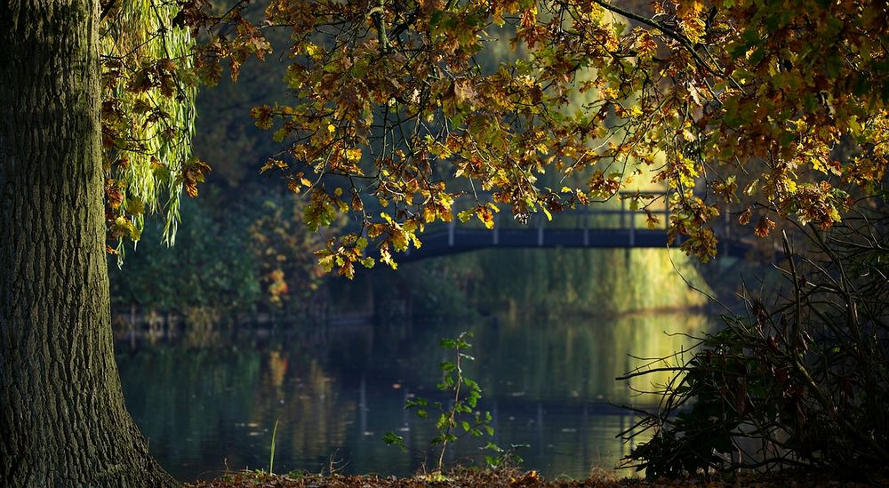 Autumn at the lake (18)