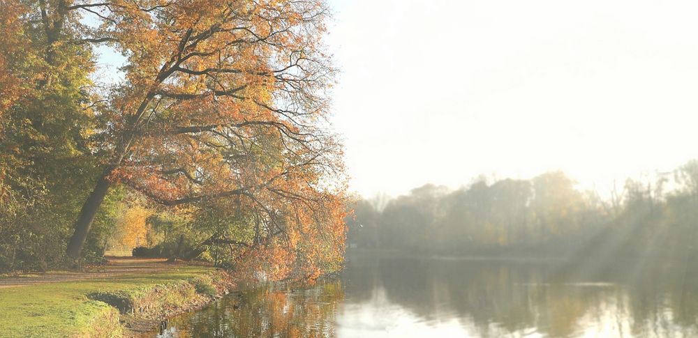 Autumn at the lake (19)