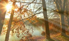 Autumn at the lake (20)