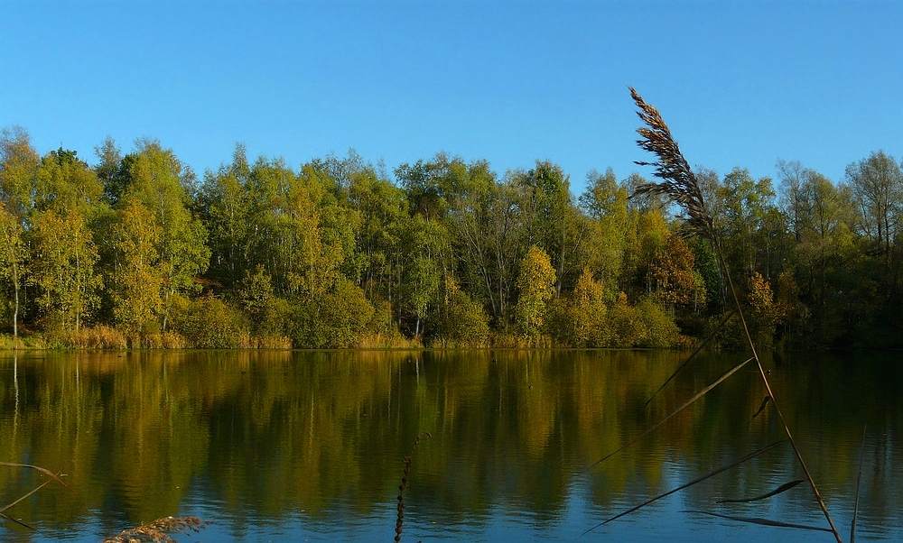 Autumn at the lake (3)