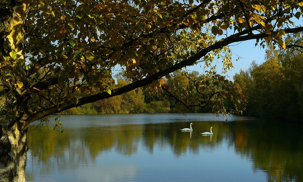 Autumn at the lake (4)