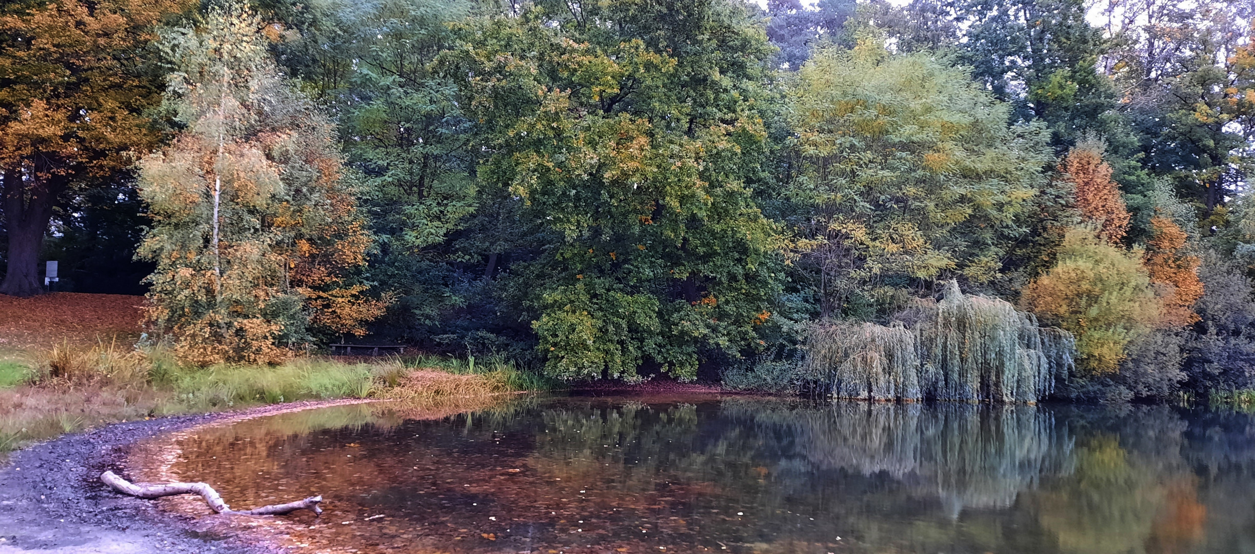 autumn at the lake