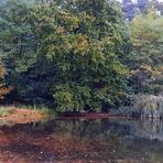 autumn at the lake