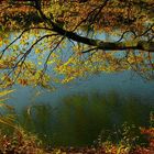 Autumn at the lake (5)