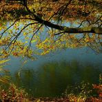 Autumn at the lake (5)