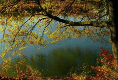 Autumn at the lake (5)