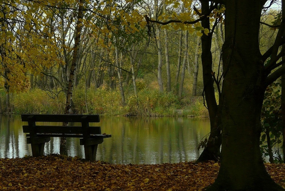 Autumn at the lake (6)